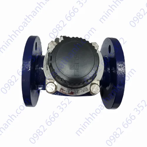 Đồng hồ nước Sensus DN80